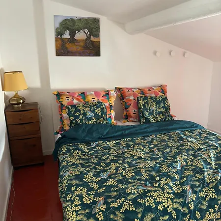 Apartment Plein Coeur De *